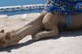 Visita a Agadir