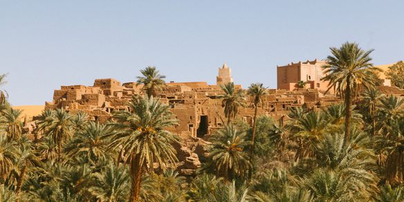Excursão ao Oasis Al-Ahsa